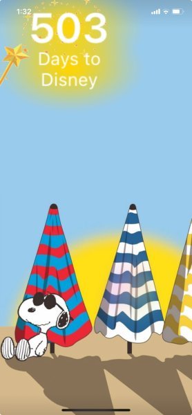 SNOOPY BEACH UMBRELLAS.jpeg