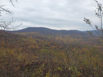 20191107_140312[1].jpg