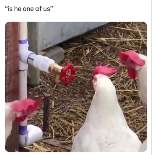 688352e9aeb54.png
