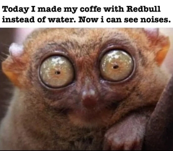 688353e14f7a9.png