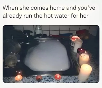 6883151129a9d.png