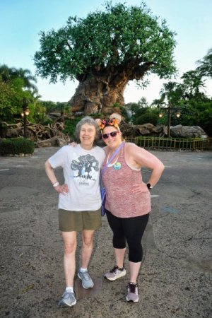 2025-06-06 - Disneys Animal Kingdom Park - The tree of life_11.jpeg