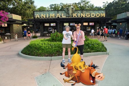 2025-06-06 - Disneys Animal Kingdom Park - The oasis.jpeg