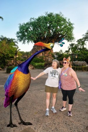 2025-06-06 - Disneys Animal Kingdom Park - The tree of life_7.jpeg
