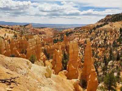20210518_123901[1].jpg
