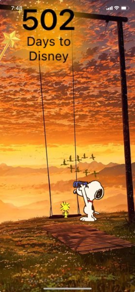 SW SUNSET SWING.jpeg