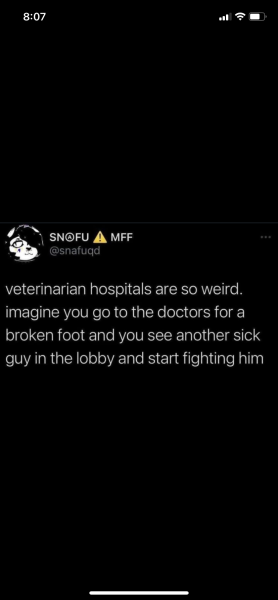 IMG_6356.png