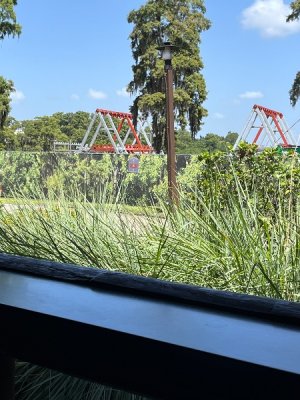 IMG_4422.jpeg