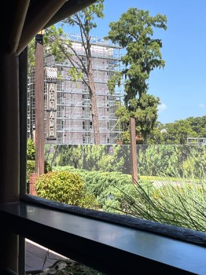 IMG_4423.jpeg