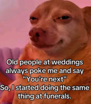 wf.png