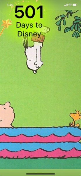 SW CB SNOOPY POOL DIVE.jpeg