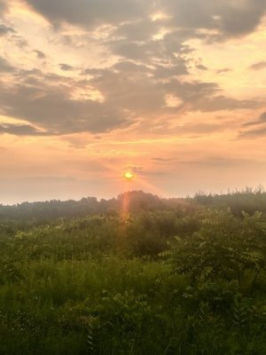IMG_6716.jpeg