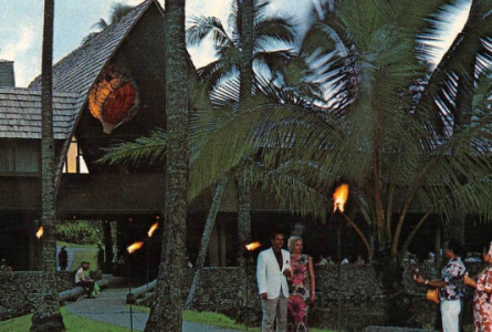 COCO PALMS NITE.png