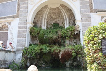 IMG_3120.JPG