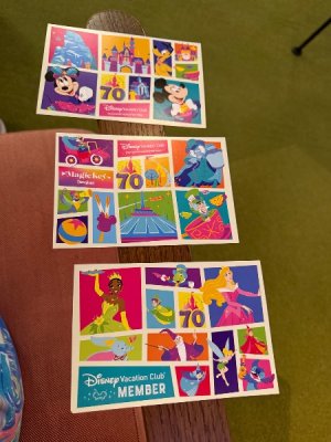 IMG_1340.jpeg