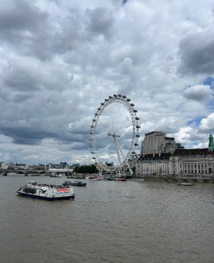 IMG_4879.jpeg