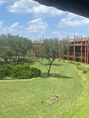 IMG_3990.jpeg