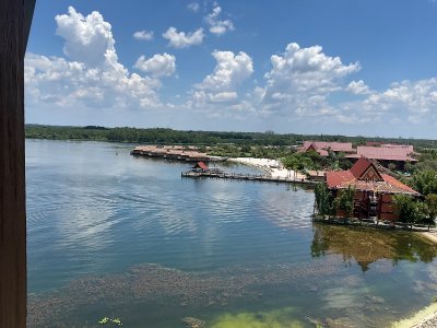 IMG_4442.jpeg