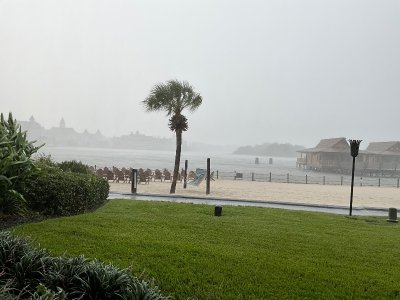IMG_4345.jpeg