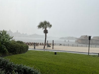 IMG_4344.jpeg