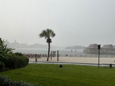 IMG_4346.jpeg