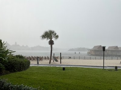 IMG_4347.jpeg