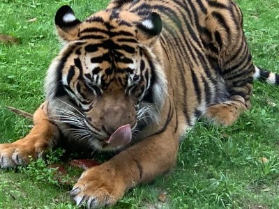 IMG_1670.jpeg