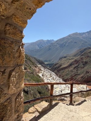 IMG_8820.jpeg