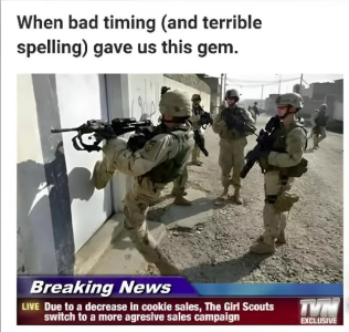 6889d49227278.png