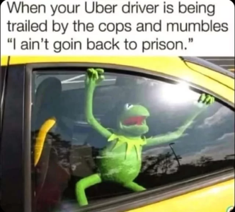 6889d2d732d46.png
