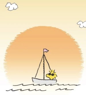 WOODSTOCK SAILING.jpg