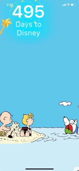 PEANUTS BEACH BALL.jpeg