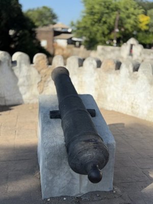 IMG_2236.jpeg