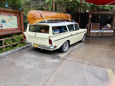 IMG_1954.jpeg
