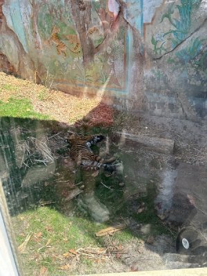 IMG_8411.jpeg