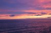 IMG_1399.jpg