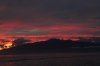 IMG_1403.jpg