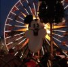 IMG_5215.JPG