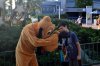 DSC_0651CTR.jpg