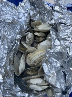 IMG_2104.jpeg