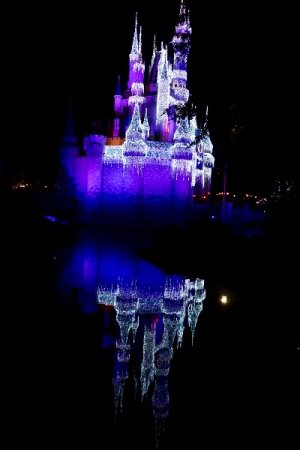 IMG_0291.jpeg