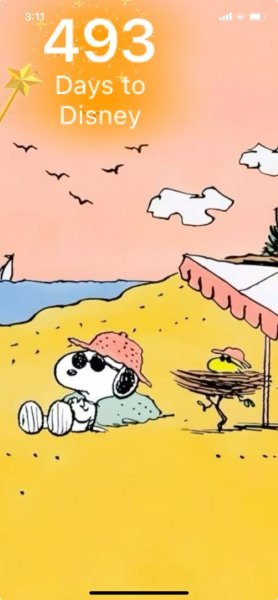 SW LAZY BEACH DAY.jpeg