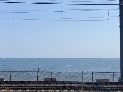 IMG_2120.jpeg