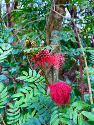 IMG_2818.jpeg