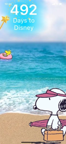 SW BEACH DAY.jpeg