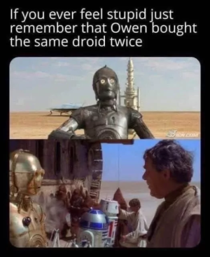 689063171503d.png