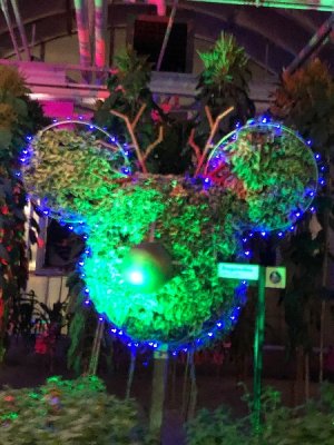 IMG_1538.jpeg