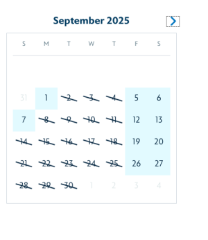 Screen Shot 2025-08-04 at 7.36.10 PM.png