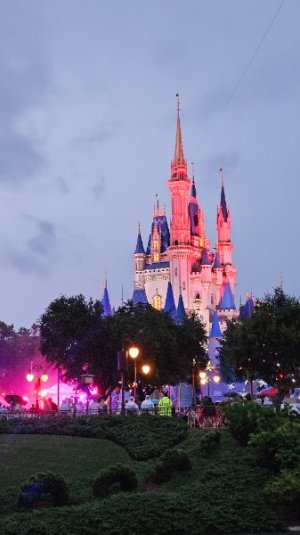 20250703_203526.jpg