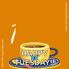 IMG_6088.gif